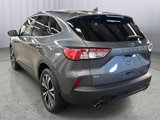 Used 2022 Ford Escape SE w/ SE Sport Appearance Package image 4