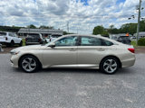 Used 2020 Honda Accord EX image 2