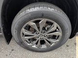 Certified 2022 Toyota RAV4 XLE Premium image 4