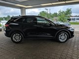 Used 2022 Ford Escape SE w/ Convenience Package image 4