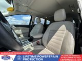 Used 2019 Ford Escape Titanium image 4