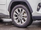 Used 2020 Toyota RAV4 XLE Premium image 2