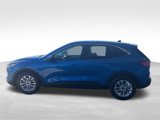Used 2021 Ford Escape SE image 5