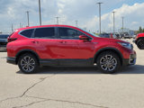 Used 2022 Honda CR-V EX-L image 5