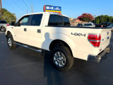 Used 2014 Ford F150 XLT w/ Equipment Group 302A Luxury image 6