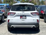 Used 2022 Ford Escape SE image 3