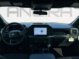 New 2025 Ford F150 STX w/ Equipment Group 200A image 2