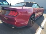 Certified 2023 Ford Mustang Premium image 5