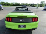 Used 2020 Ford Mustang GT Premium w/ Equipment Group 401A image 3
