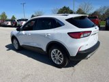 Used 2022 Ford Escape SE w/ Convenience Package image 3