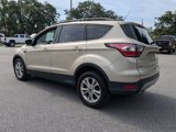 Used 2017 Ford Escape SE w/ Equipment Group 201A image 6
