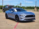 Used 2022 Ford Mustang Premium w/ Equipment Group 201A image 2