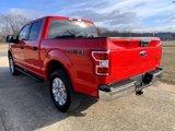 Used 2018 Ford F150 XLT image 5