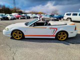Used 1999 Ford Mustang Cobra image 2
