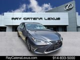 Certified 2022 Lexus ES 350 w/ Premium Package image 2
