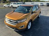 Used 2016 Ford Edge SEL w/ Equipment Group 201A image 5