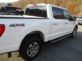 Certified 2022 Ford F150 XLT w/ Equipment Group 302A High image 4