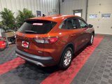 Used 2020 Ford Escape SE image 6