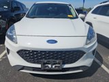 Used 2020 Ford Escape SE image 2