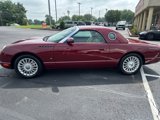 Used 2004 Ford Thunderbird Deluxe image 4