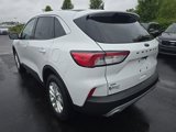 Used 2020 Ford Escape SE image 5