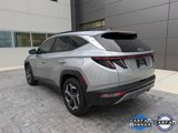Used 2024 Hyundai Tucson Limited image 6