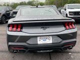 New 2025 Ford Mustang Coupe image 6