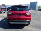 Used 2022 Ford Escape SE w/ Convenience Package image 4