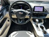Used 2020 Cadillac CT4 Premium Luxury image 4