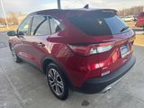 Certified 2022 Ford Escape SEL image 4