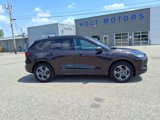 Used 2023 Ford Escape ST-Line w/ Tech Pack #1 image 2