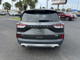 Used 2020 Ford Escape SE image 5