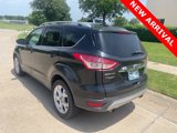 Used 2014 Ford Escape Titanium image 6