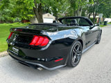 Used 2019 Ford Mustang Premium image 5