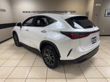 Used 2023 Lexus NX 250 FWD w/ Premium Package image 4