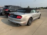 Used 2016 Ford Mustang Premium image 5