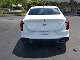 Used 2021 Cadillac CT4 Premium Luxury w/ Climate Package image 4