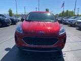 Certified 2022 Ford Escape SE w/ Cold Weather Package image 2