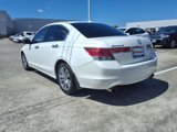 Used 2011 Honda Accord EX-L image 3