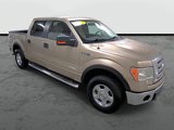 Used 2012 Ford F150 XLT w/ XLT Convenience Pkg image 5
