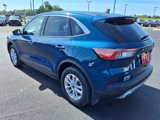 Used 2020 Ford Escape SE image 3