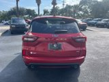 New 2024 Ford Escape ST-Line w/ Equipment Group 301A image 6