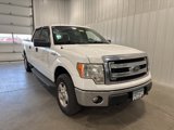 Used 2013 Ford F150 XLT w/ Trailer Tow Pkg image 3