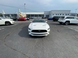 Used 2022 Ford Mustang Premium w/ Equipment Group 201A image 3