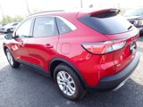 Used 2022 Ford Escape SE w/ Convenience Package image 5