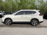 Used 2020 Nissan Rogue SV w/ Premium Package image 4