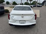 Used 2020 Cadillac CT4 Premium Luxury image 6