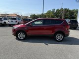 Used 2019 Ford Escape SE image 2