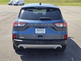 Used 2020 Ford Escape SE image 4