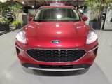 Certified 2020 Ford Escape SE image 3